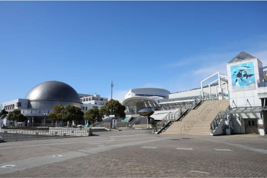 名古屋港水族館