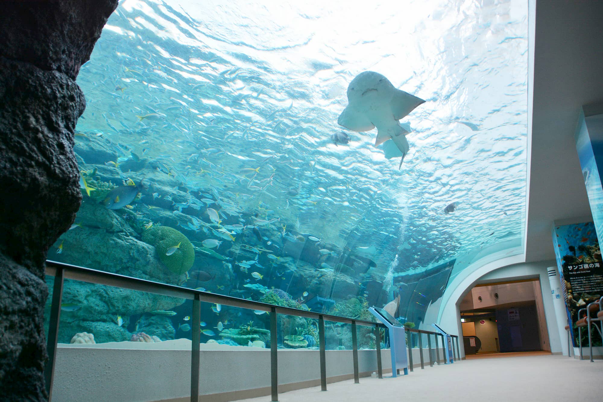 名古屋港水族館